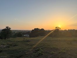 View from my pitch