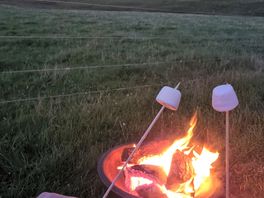 Smores!
