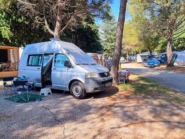 Great shady place