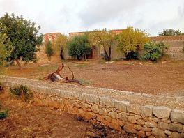 Il giardino e la distanza ai servizi
