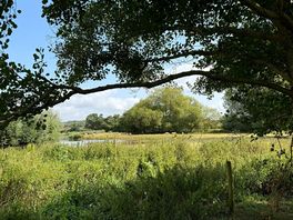 View from our pitch