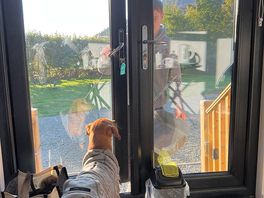 Fred looking outside