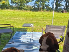 View from the van, the hounds loved it!