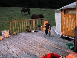 From the deck