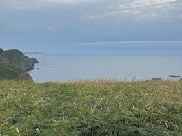 The view from the campsite towards the sea.