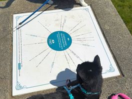 Castle point with cats 🐈‍⬛