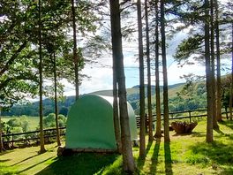 The pods in the evening sunshine.