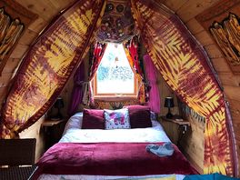 Inside willow