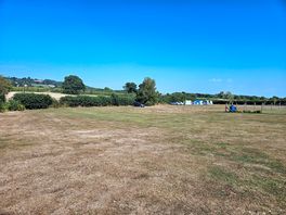 Field