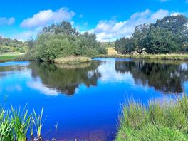 Stunning fishing lake
