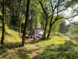 Backpackers woodland area.