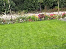 Beautiful flowers and well kept grass.