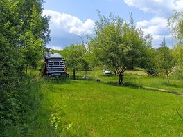 Trees around the pitches
