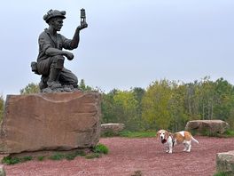 Silverhill wood was full of history