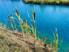 Amazing to sit and watch the fish