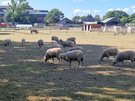 Aldenham country park