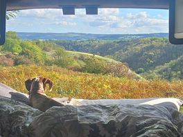 Room with a view