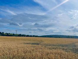 Surrounding fields