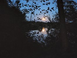 Full moon rising