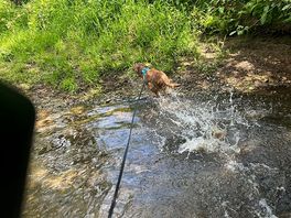 Our coco had the time of his life!