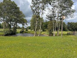 Local walk