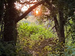 Summer solstice sunset