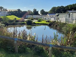 A small lake in the middle of the holiday park. complete with fish,ducks and a heron