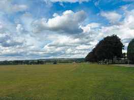 Dog walking field
