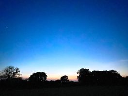 Quiet nights stargazing with my kids