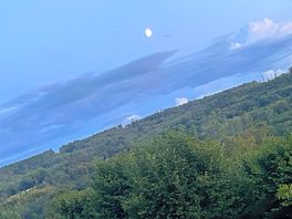View from the tent
