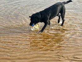 More water.