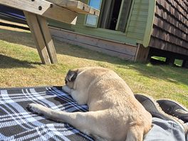Chilling at wee pea.