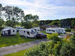 Grass pitches