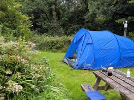Fully serviced pitch.