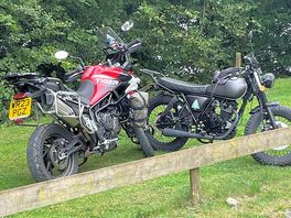 The bikes