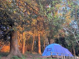 The evening sun shining across the tent pitch area.