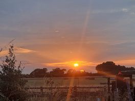 Beautiful sunsets