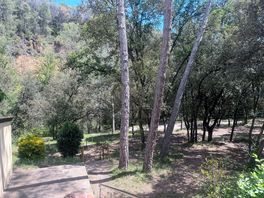 Alrededor