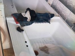 Les lavabos communs avec du linges sale a je ne sais pas qui.