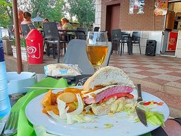 Chicken burger? from the camping cubillas cafe.