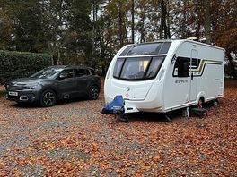 Pitch great size
