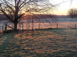Blissful morning