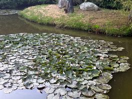 Fishing lake