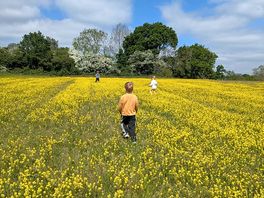 Beautiful walks through countryside