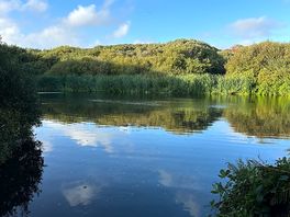 On walk to coastal path