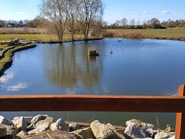Little pond