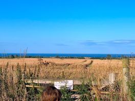 View of the sea