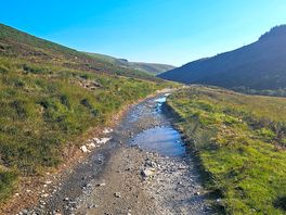 Local trail