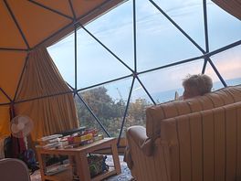 Reading with a view
