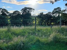 Watching the sun set from our pitch